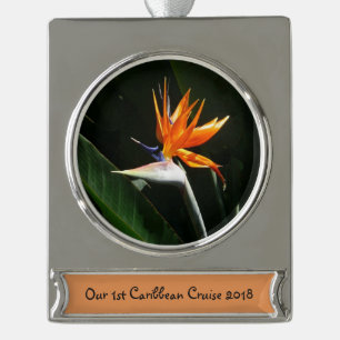 Der Vogel der tropischen Blume Orange Banner-Ornament Silber