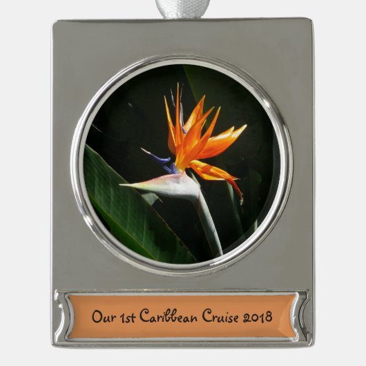 Der Vogel der tropischen Blume Orange Banner-Ornament Silber (Vorderseite)