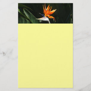 Der Vogel der tropischen Blume Orange Briefpapier