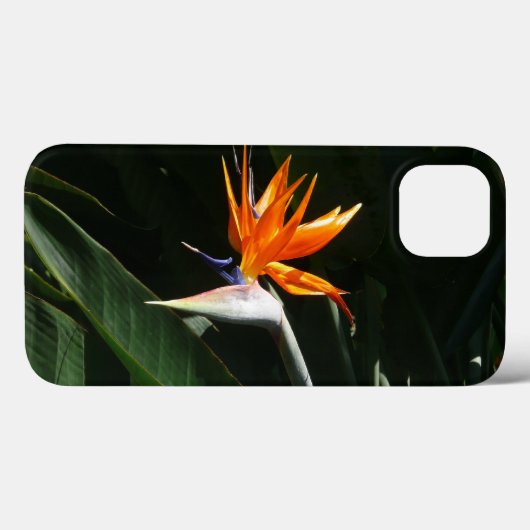 Der Vogel der tropischen Blume Orange Case-Mate iPhone Hülle (Rückseite (Horizontal))