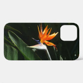 Der Vogel der tropischen Blume Orange Case-Mate iPhone Hülle (Rückseite (Horizontal))