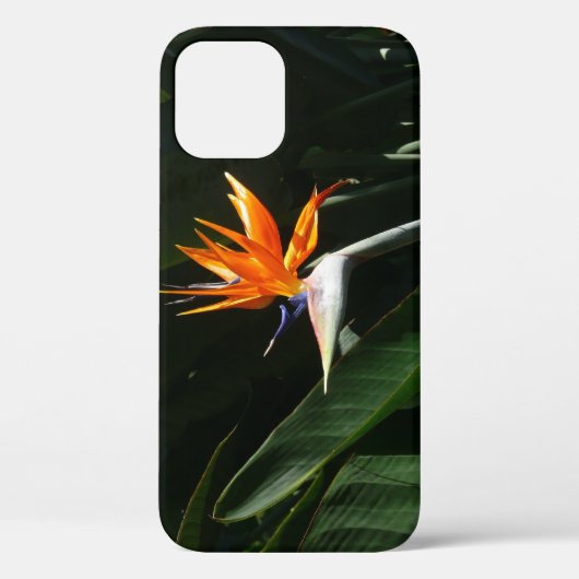 Der Vogel der tropischen Blume Orange Case-Mate iPhone Hülle (Rückseite)