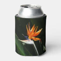 Der Vogel der tropischen Blume Orange