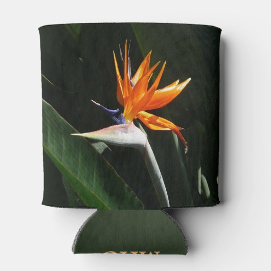 Der Vogel der tropischen Blume Orange Dosenkühler (Rückseite)