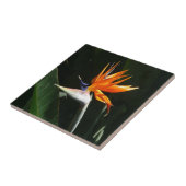Der Vogel der tropischen Blume Orange Fliese (Seite)