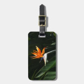 Der Vogel der tropischen Blume Orange Gepäckanhänger (Vorderseite vertikal)
