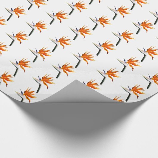 Der Vogel der tropischen Blume Orange Geschenkpapier (Ecke)