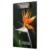 Der Vogel der tropischen Blume Orange Klemmbrett (Links)