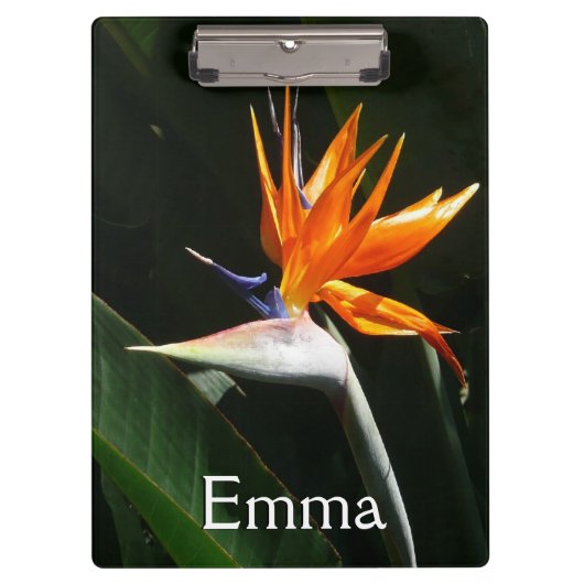 Der Vogel der tropischen Blume Orange Klemmbrett (Vorderseite)