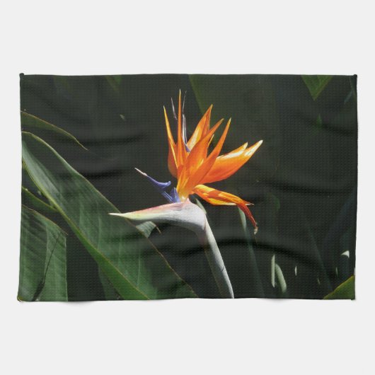 Der Vogel der tropischen Blume Orange Küchentuch (Horizontal)