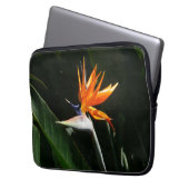 Der Vogel der tropischen Blume Orange Laptopschutzhülle (Vorderseite Links)