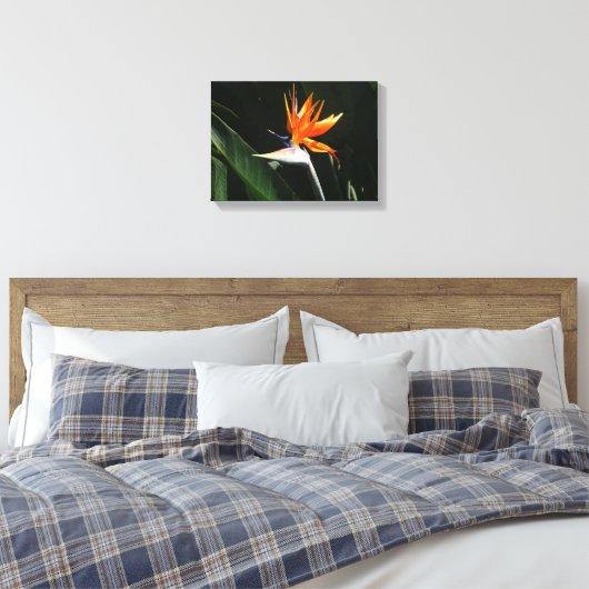 Der Vogel der tropischen Blume Orange Leinwanddruck (Insitu (Schlafzimmer))