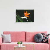 Der Vogel der tropischen Blume Orange Leinwanddruck (Insitu (Wohnzimmer))