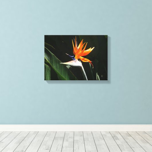 Der Vogel der tropischen Blume Orange Leinwanddruck (Insitu (Holzboden))