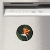 Der Vogel der tropischen Blume Orange Magnet (In Situ (Geschirrspüler))