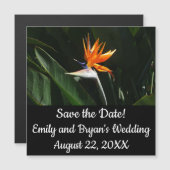 Der Vogel der tropischen Blume Orange Magnetkarte (Vorne/Hinten)