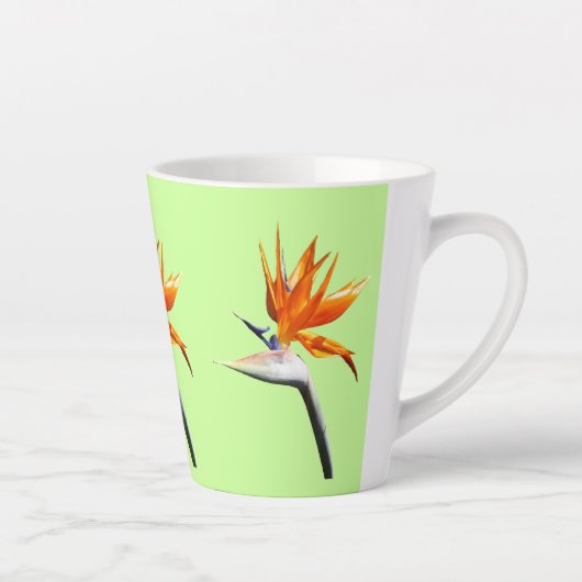 Der Vogel der tropischen Blume Orange Milchtasse (Rechts)