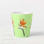 Der Vogel der tropischen Blume Orange Milchtasse (Vorderseite)
