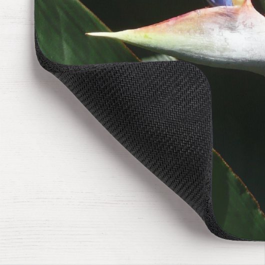 Der Vogel der tropischen Blume Orange Mousepad (Ecke)