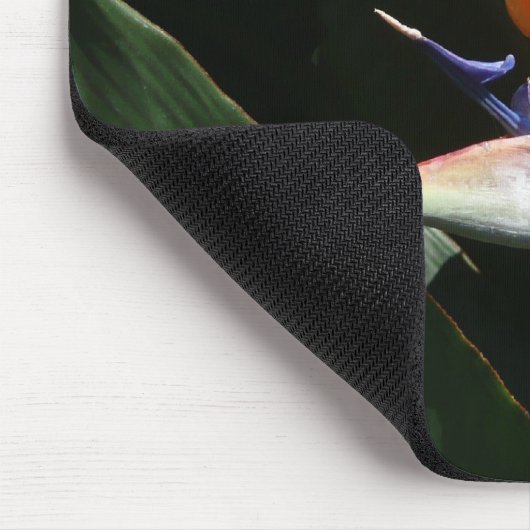 Der Vogel der tropischen Blume Orange Mousepad (Ecke)