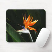 Der Vogel der tropischen Blume Orange Mousepad (Mit Mouse)