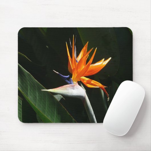 Der Vogel der tropischen Blume Orange Mousepad (Mit Mouse)