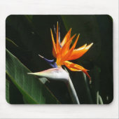 Der Vogel der tropischen Blume Orange Mousepad (Vorne)