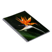 Der Vogel der tropischen Blume Orange Notizblock (Rechte Seite)