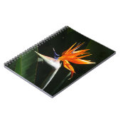 Der Vogel der tropischen Blume Orange Notizblock (Linke Seite)