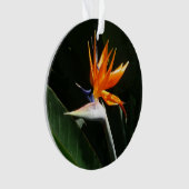 Der Vogel der tropischen Blume Orange Ornament (Vorderseite)