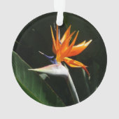 Der Vogel der tropischen Blume Orange Ornament (Rückseite)