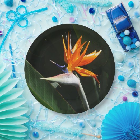 Der Vogel der tropischen Blume Orange Pappteller (Party)