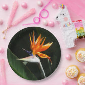 Der Vogel der tropischen Blume Orange Pappteller (Party)