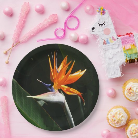 Der Vogel der tropischen Blume Orange Pappteller (Party)