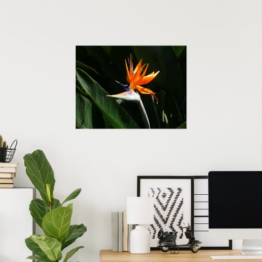 Der Vogel der tropischen Blume Orange Poster (Heimbüro)
