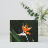 Der Vogel der tropischen Blume Orange Postkarte (Stehend Vorderseite)