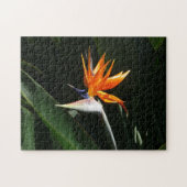 Der Vogel der tropischen Blume Orange Puzzle (Horizontal)