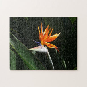 Der Vogel der tropischen Blume Orange Puzzle