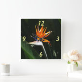 Der Vogel der tropischen Blume Orange Quadratische Wanduhr (Zuhause)