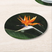 Der Vogel der tropischen Blume Orange Runder Pappuntersetzer (Angewinkelt)