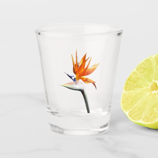 Der Vogel der tropischen Blume Orange Schnapsglas (Vorderseite)