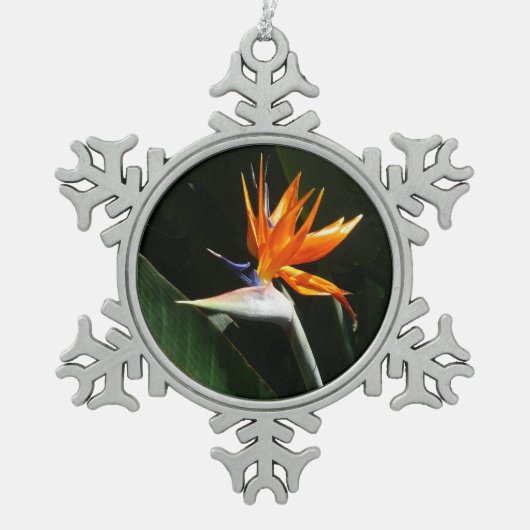 Der Vogel der tropischen Blume Orange Schneeflocken Zinn-Ornament (Vorderseite)