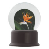 Der Vogel der tropischen Blume Orange Schneekugel (Vorderseite)