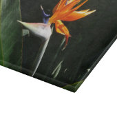 Der Vogel der tropischen Blume Orange Schneidebrett (Ecke)