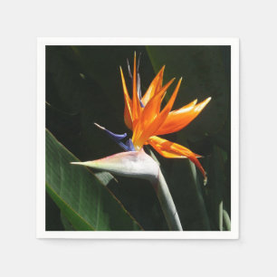 Der Vogel der tropischen Blume Orange Serviette