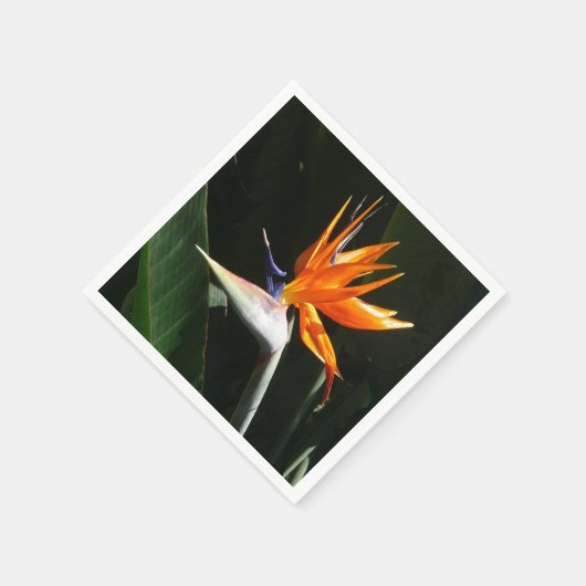 Der Vogel der tropischen Blume Orange Serviette (Ecke)