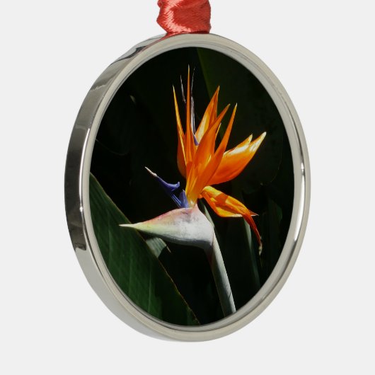 Der Vogel der tropischen Blume Orange Silbernes Ornament (Rechts)