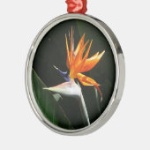 Der Vogel der tropischen Blume Orange Silbernes Ornament (Links)