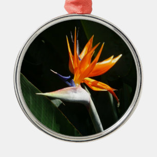 Der Vogel der tropischen Blume Orange Silbernes Ornament