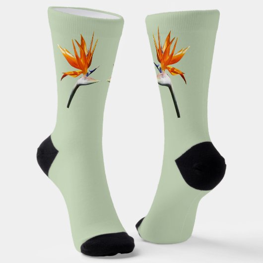 Der Vogel der tropischen Blume Orange Socken (Gewinkelt)
